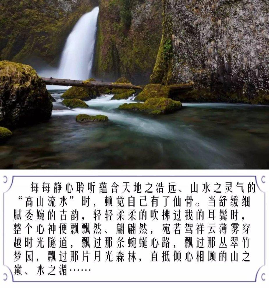 终结者2官方手游